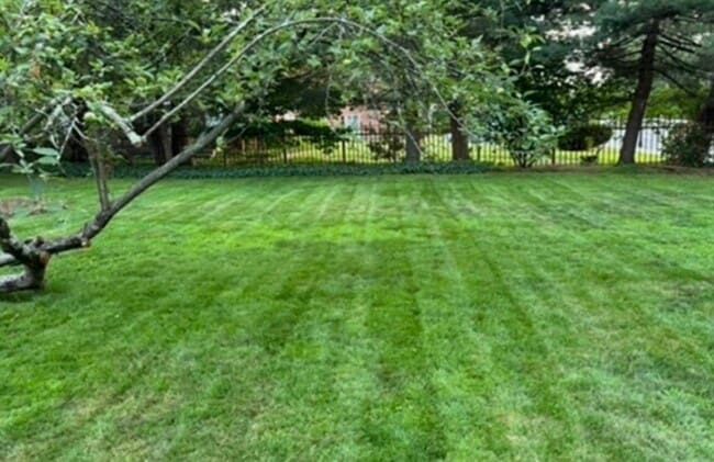 Building Photo - 600 Washington St