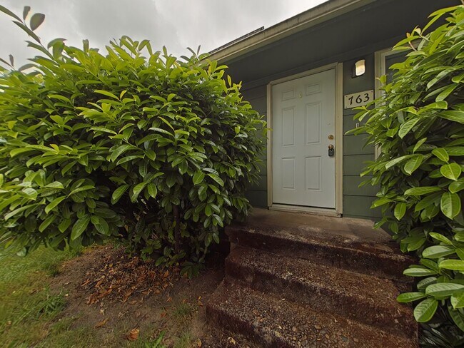 Primary Photo - Apartment ~ Close to Campus ~ Cat Friendly