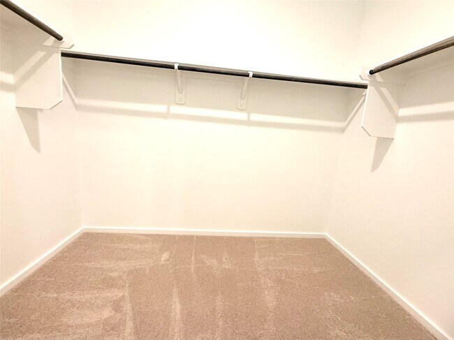 Building Photo - 24657 Monarch Forest Dr