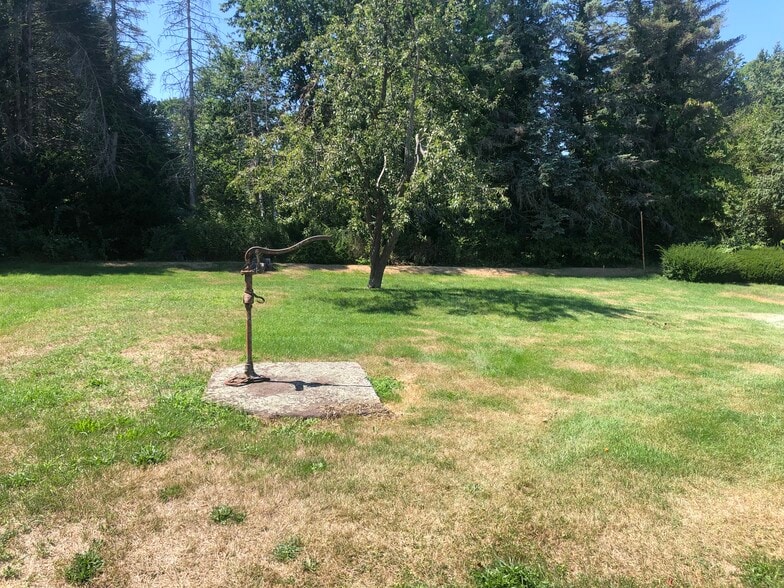 back yard - 127 Front St