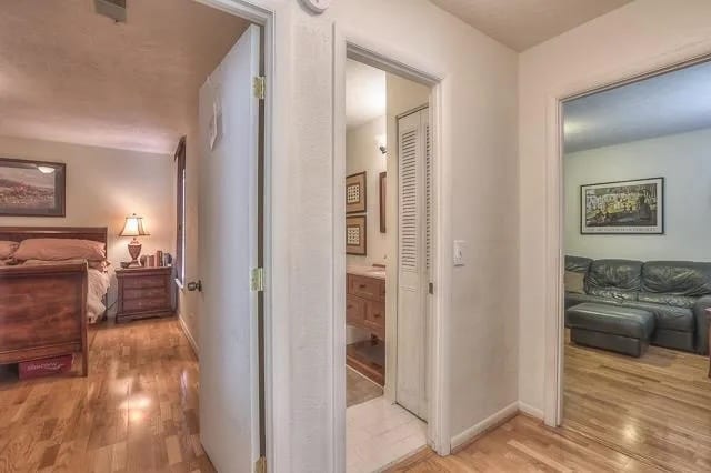 hallway - 810 Bellevue Rd