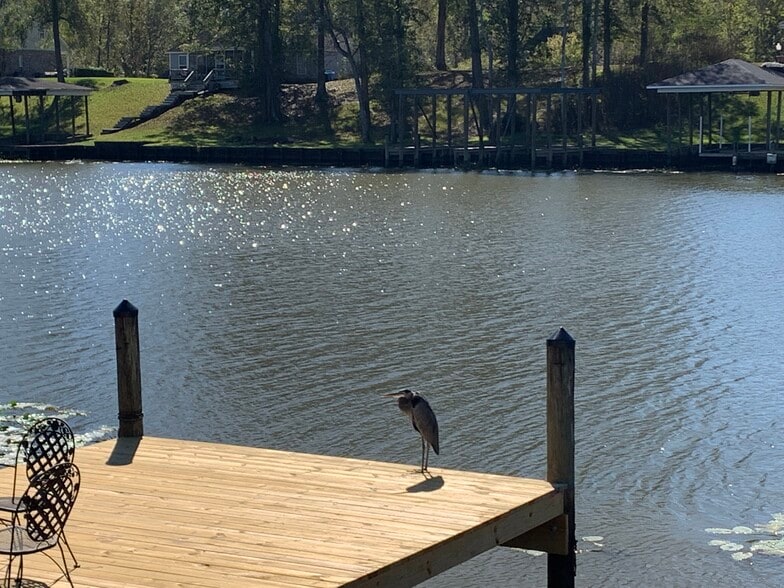 Building Photo - 12401 Homeport Dr