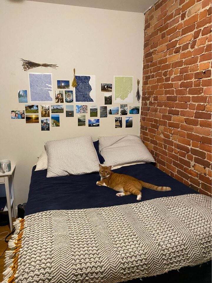 Building Photo - 12 Homer St