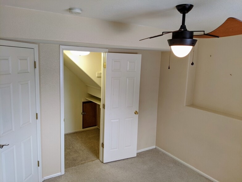 Basement Bedroom and Closet - 6803 Autumn Ridge Dr