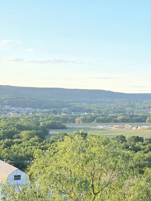 Building Photo - 19 Rutter St