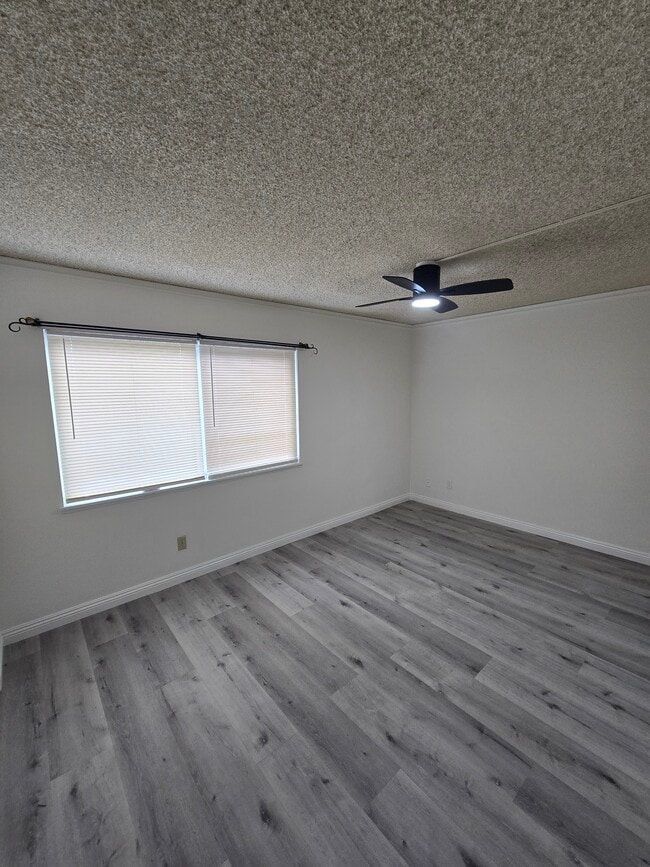 Building Photo - 1025 Junipero Dr