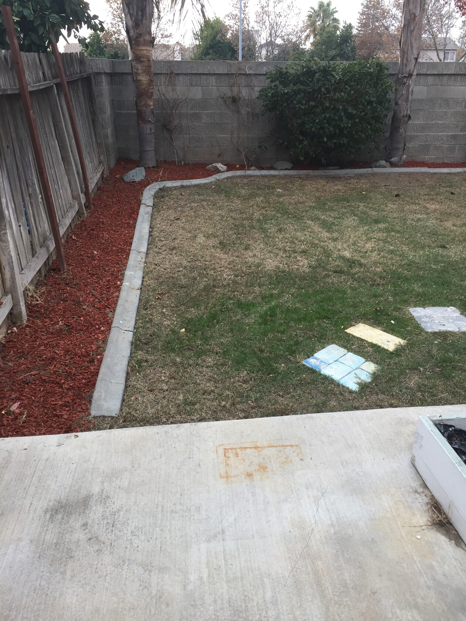 Building Photo - 1573 Shadowood Ct