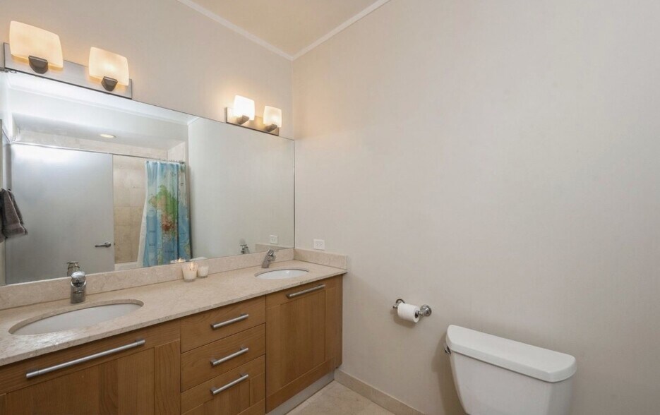 Ensuite Bathroom - 744 N Clark St