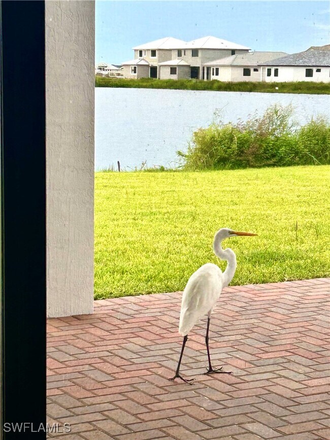 Building Photo - 5077 Gambero Wy