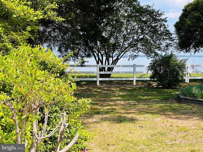 Building Photo - 3214 Riverview Dr