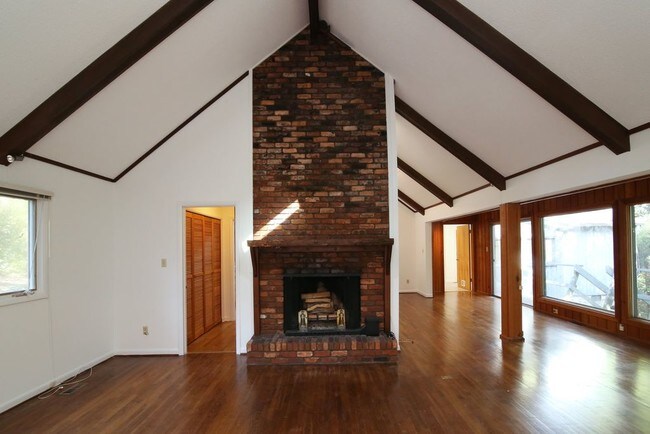 Wood burning fireplace - 914 Crestwood Ln