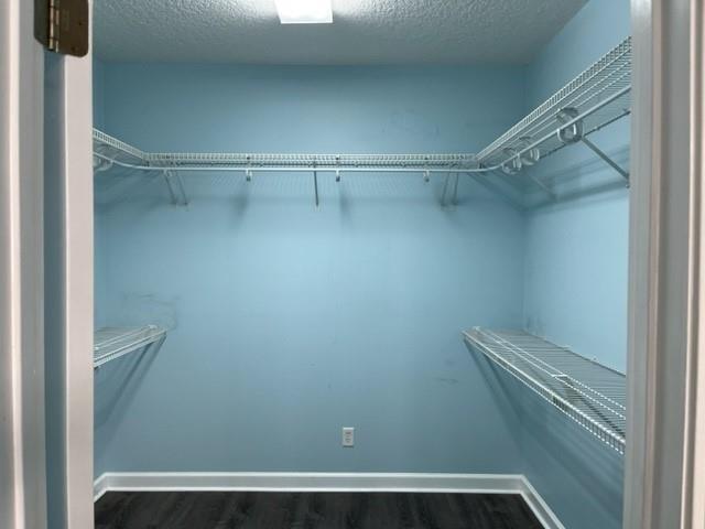 Building Photo - 401 Cobble Stone Way