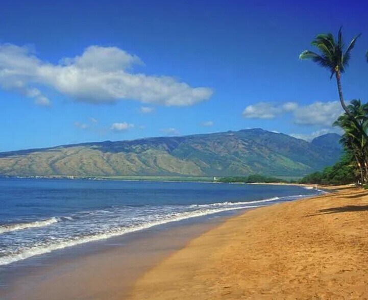Primary Photo - 15 Ohukai Rd