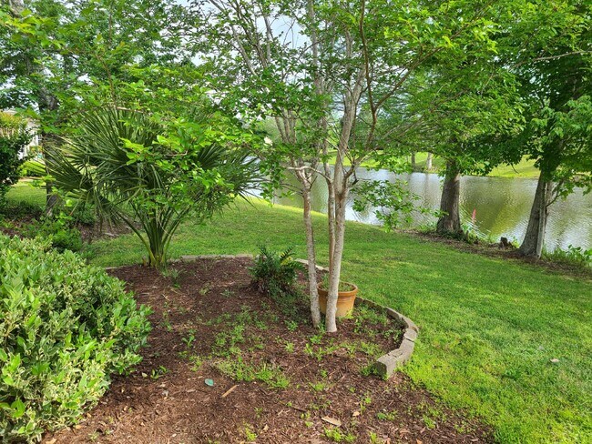 Building Photo - Beautiful Three Bedroom Home Sun City Home!