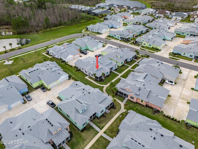 Building Photo - 208 Ocean Hammock Lp