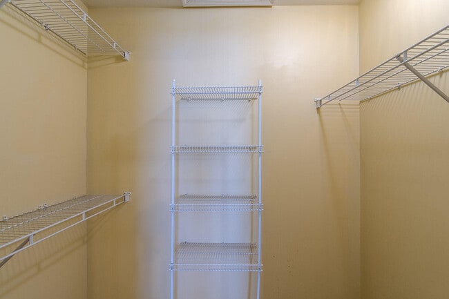 Building Photo - 113 Ginkgo Ln