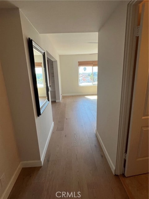 Building Photo - 881 Calle Pluma