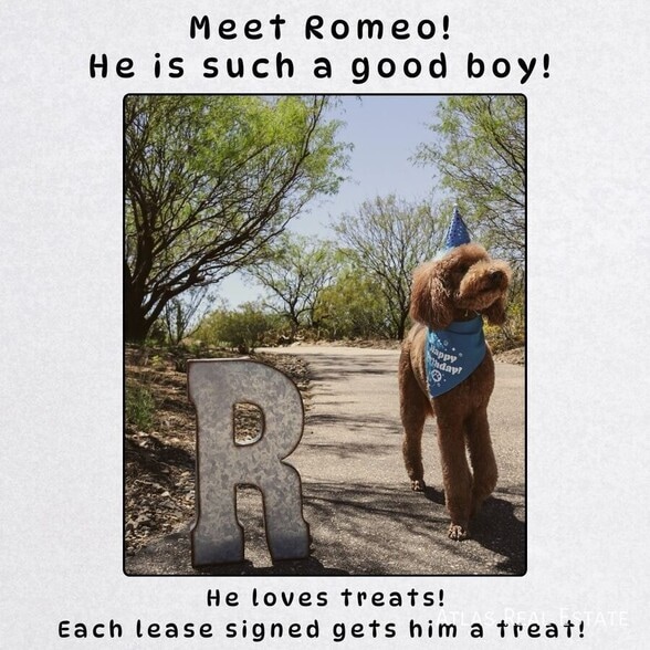 Building Photo - 7924 N Michigan Ave