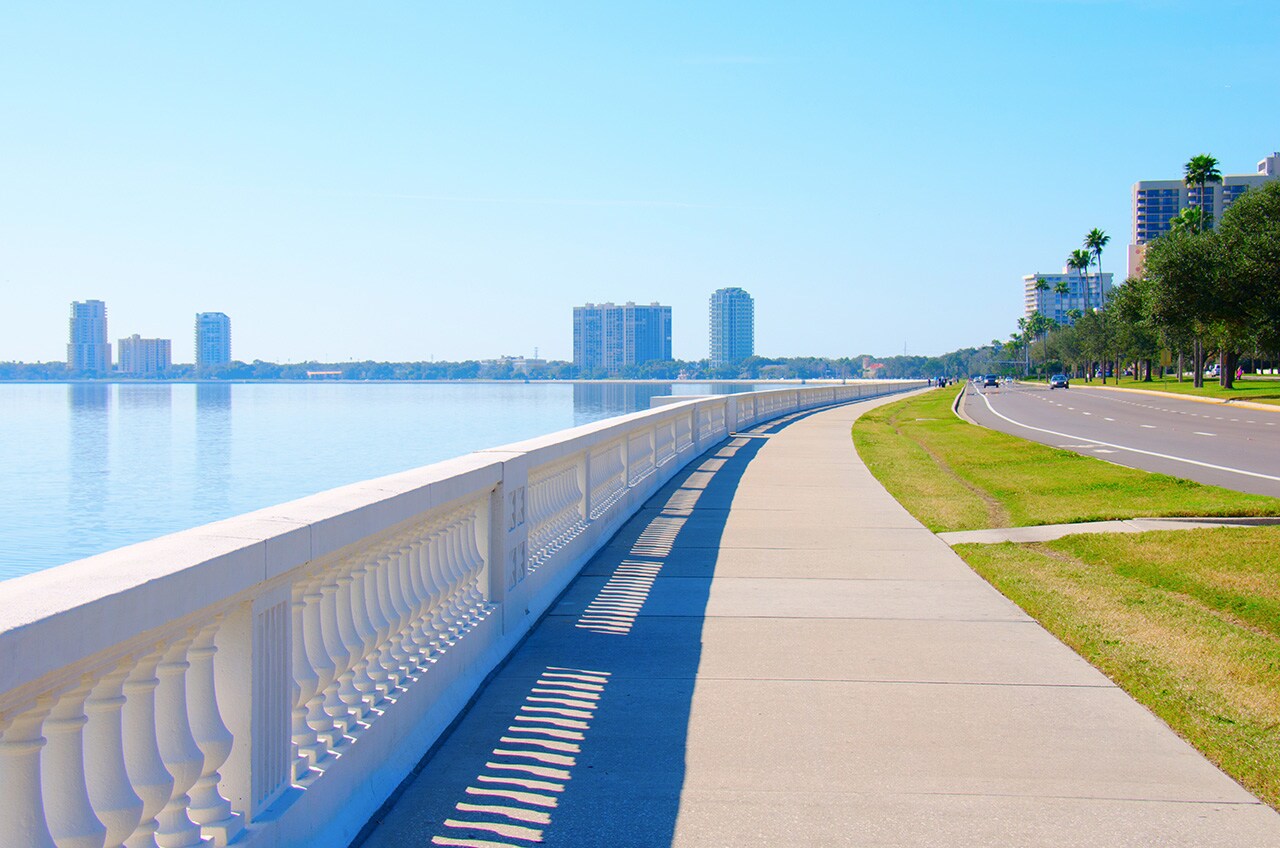 SHort walk to Bayshore Blvd - 4950 Bayshore Blvd
