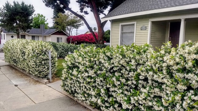 Building Photo - 3 Bedroom 1 Bath House with a Large Backya...