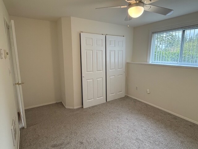 1 bed lower level level - 4820 36th Ave E
