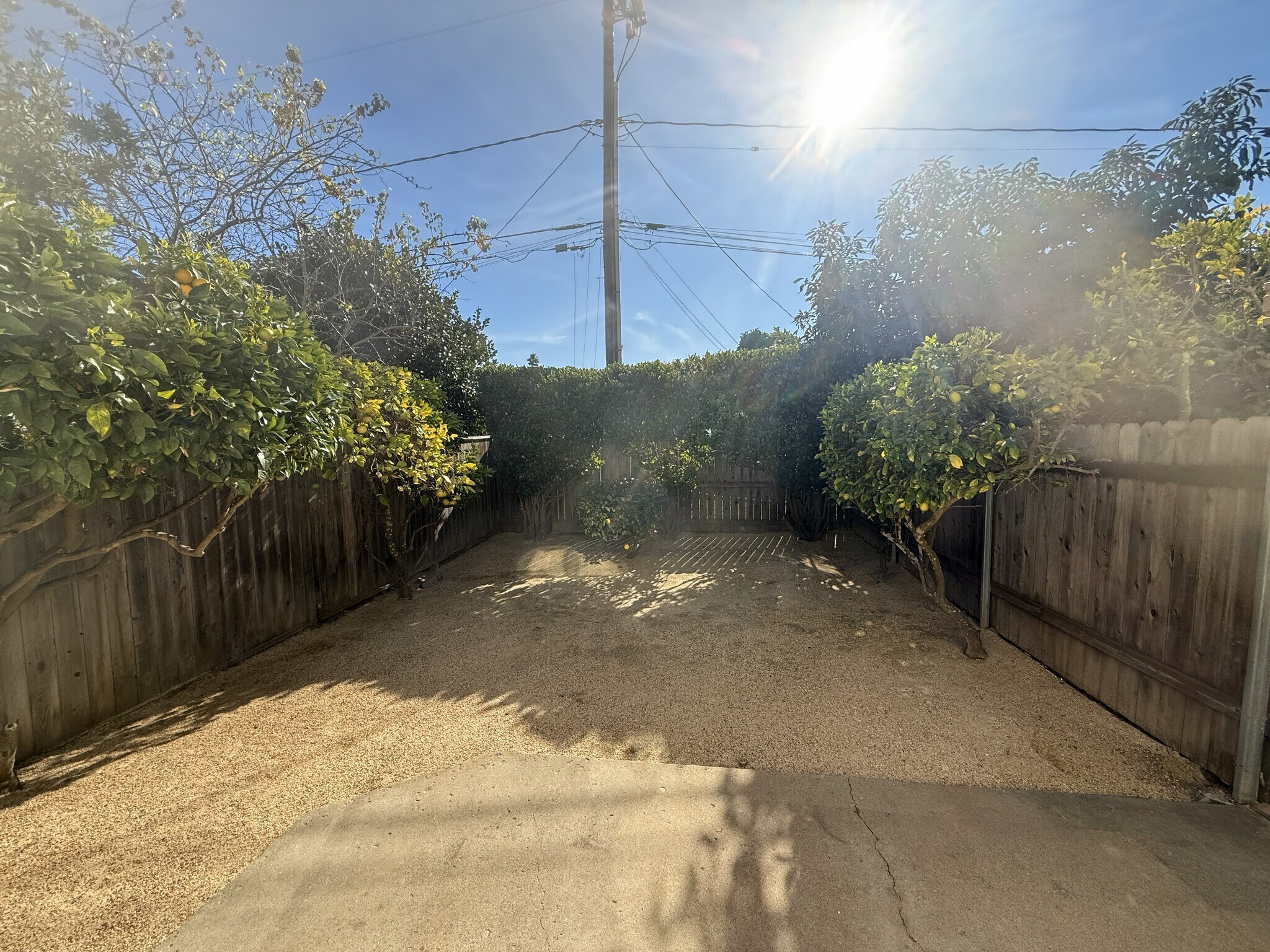 Backyard with citrus trees - 3737 Portofino Way