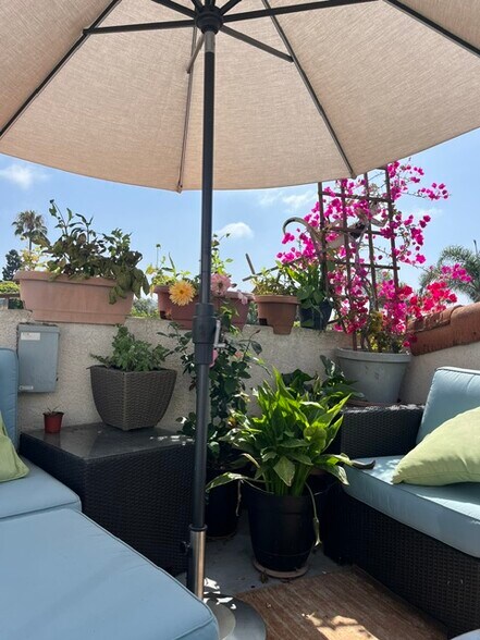 Private Rooftop Deck - 938 Agate St