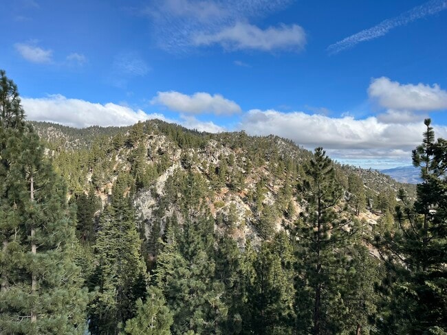 Building Photo - 261 Quaking Aspen Ln