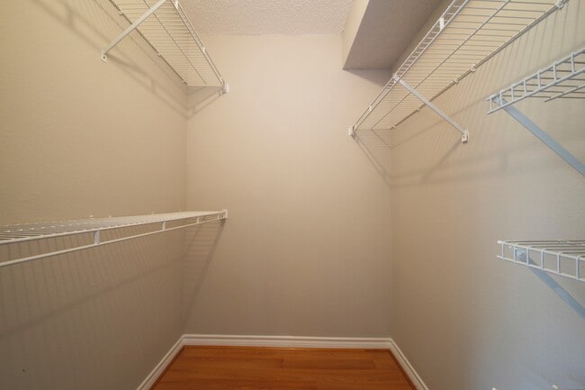 Building Photo - Updated top floor 2br with vaulted ceilings, two balconies and treed views!