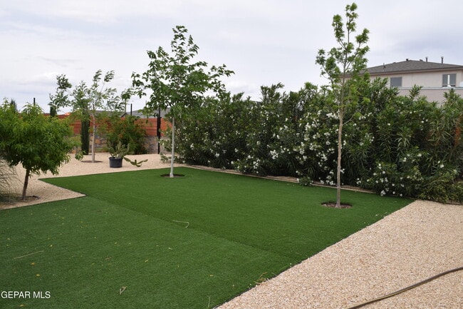 Building Photo - 355 Sol Ct