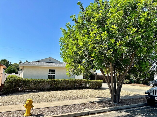 Building Photo - Beautifully Remodeled Allied Gardens Home
