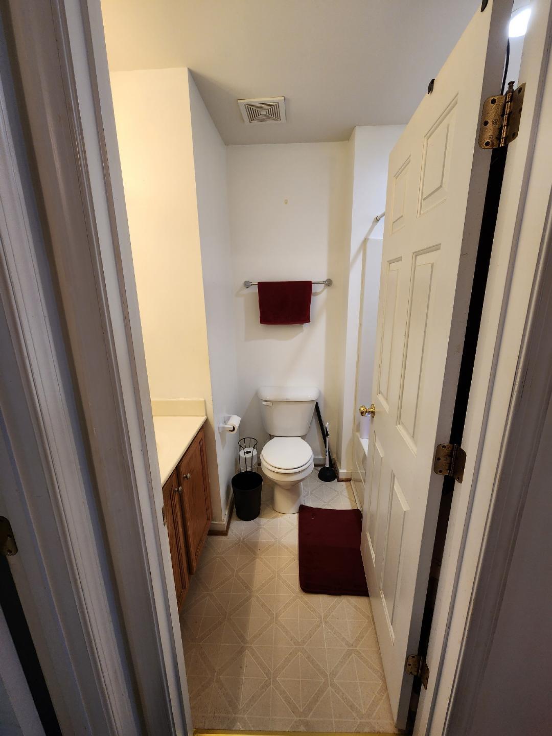 Upstairs Guest Bathroom - 4205 Riding Place Rd