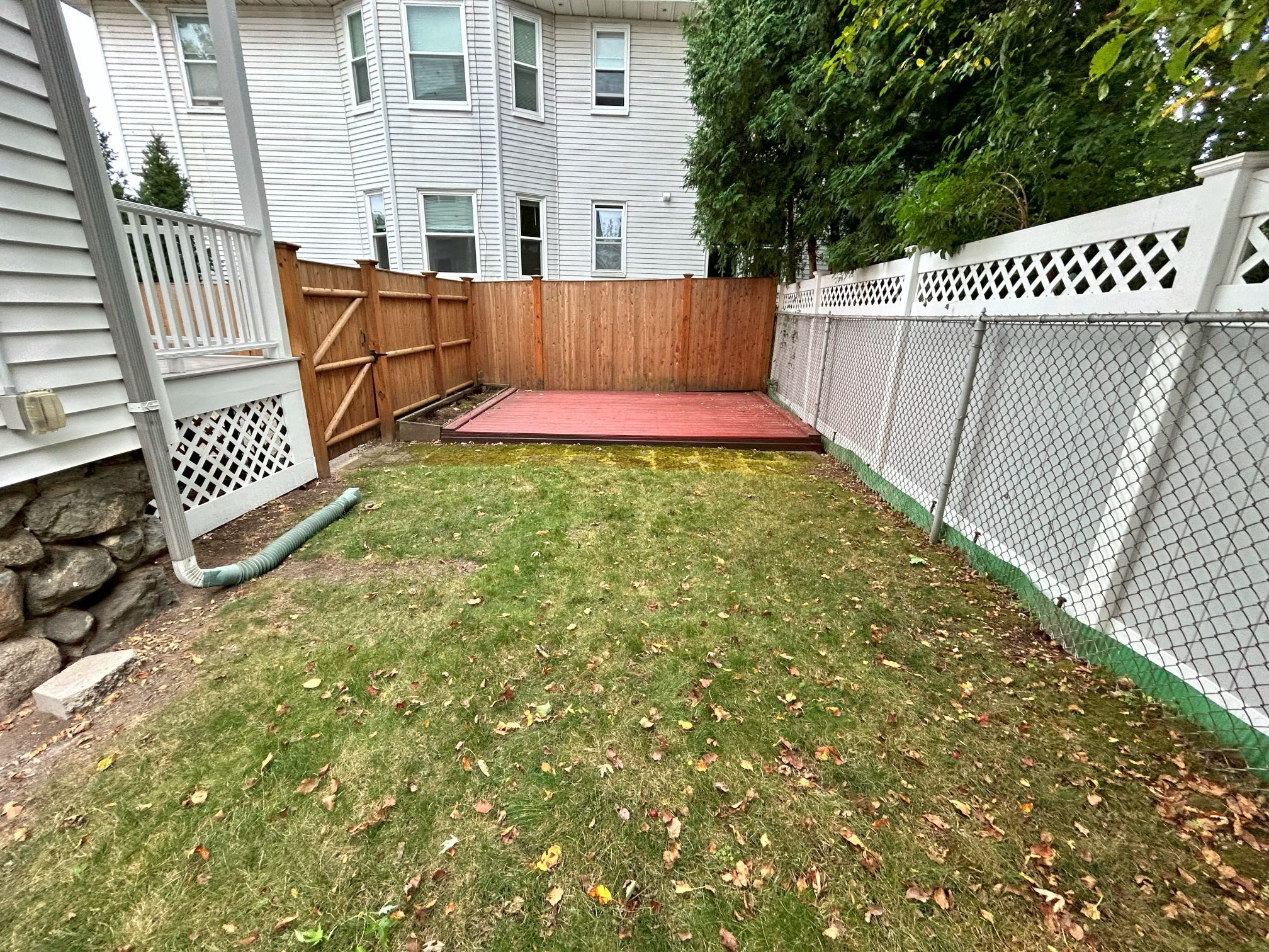 shared backyard - 311 Waverley Ave