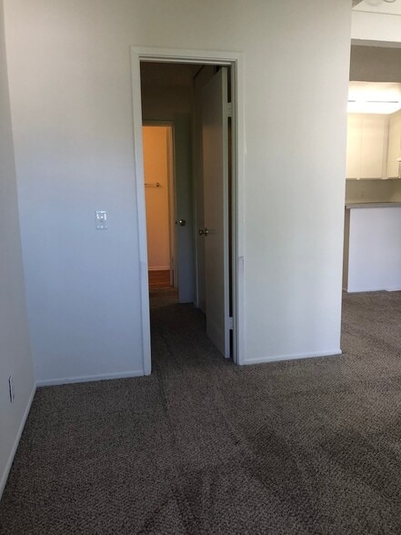 Interior Photo - Springtree Apartments