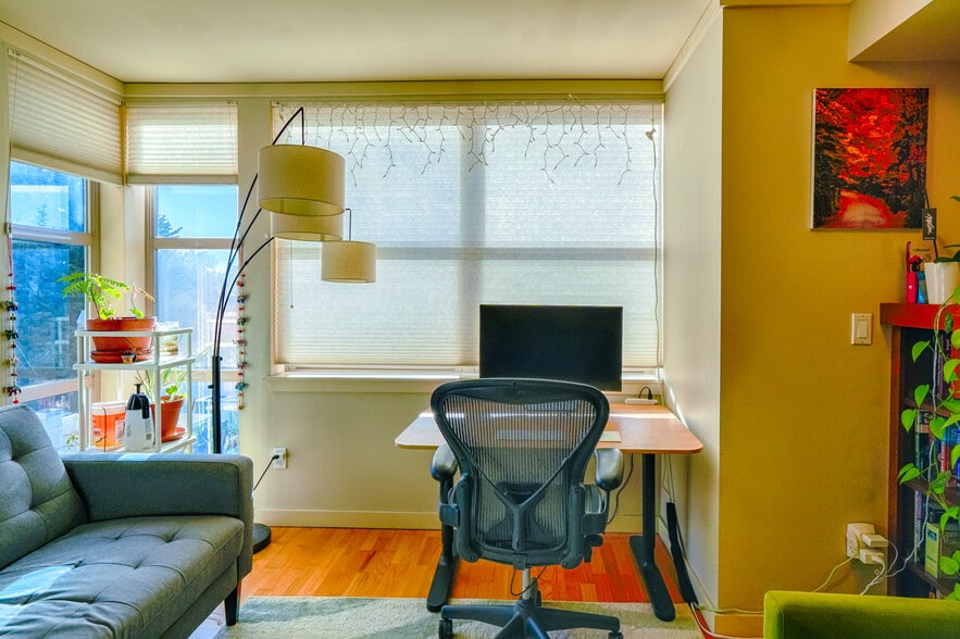 Cellular shades in the living room making in cozy and comfy all seasons - 1310 N Lucas Pl