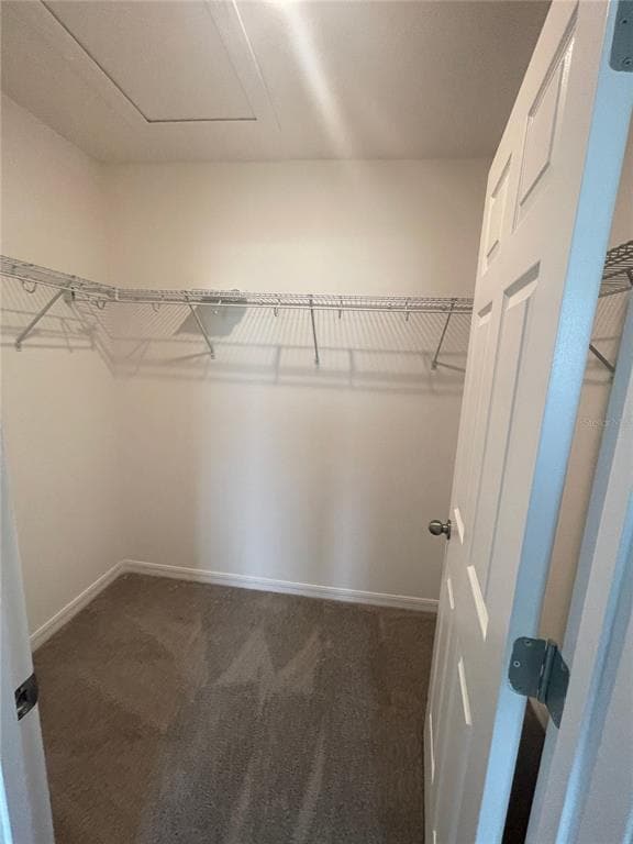 Building Photo - 1313 Blazing Star Ln