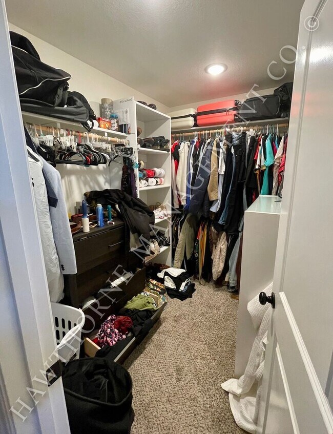 Building Photo - Beautiful 3 Bedroom Home in Southern Columbia