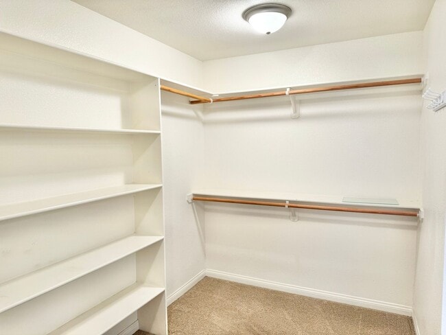 Building Photo - Huge 3 bed 2 bath Home In Storey Park Neig...