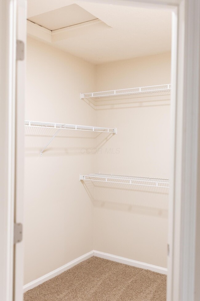 Building Photo - 5008 Stratford Pine Ln