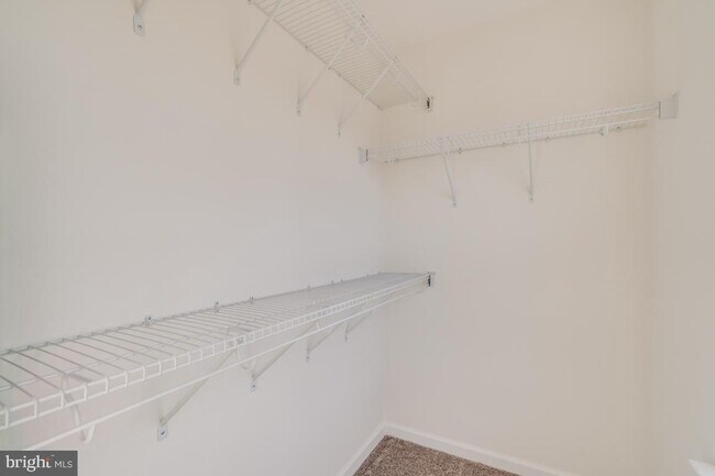 Building Photo - 2926 Sorrell Ct