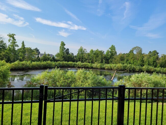 Building Photo - Modern townhome in beautiful Mallory Creek Subdivision