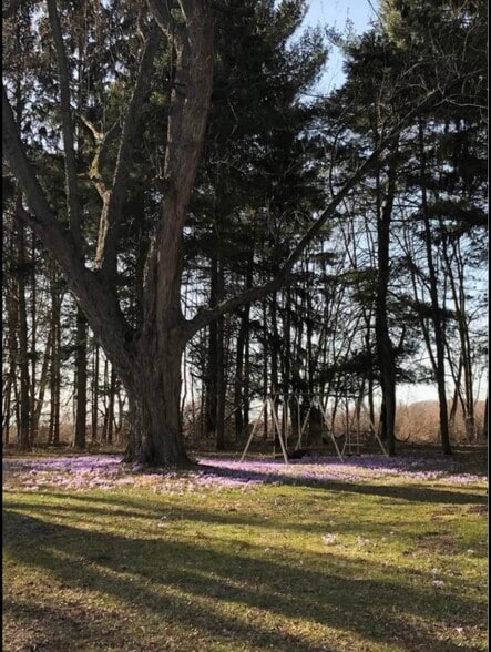 Building Photo - 8939 Pecor St