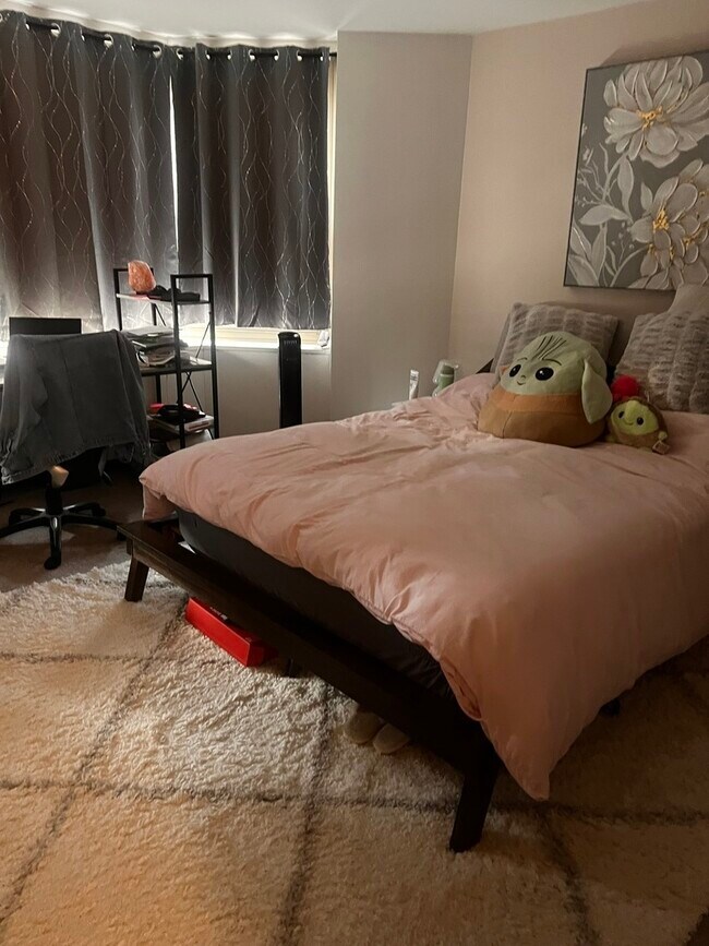 Building Photo - 535 N Michigan Ave