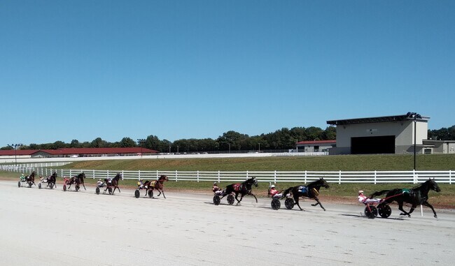 Catch a horse race! - 101 Bowers Ct