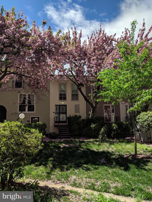 Building Photo - 241 G St SW