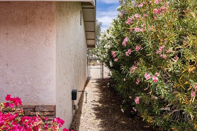 Building Photo - 3165 Silver Arrow Dr