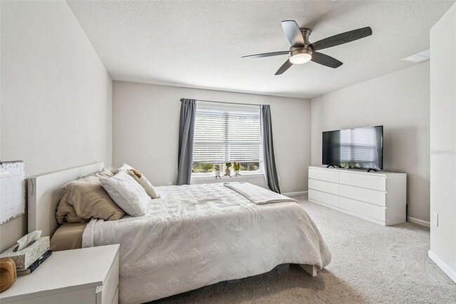 Building Photo - 2123 Laceflower Dr