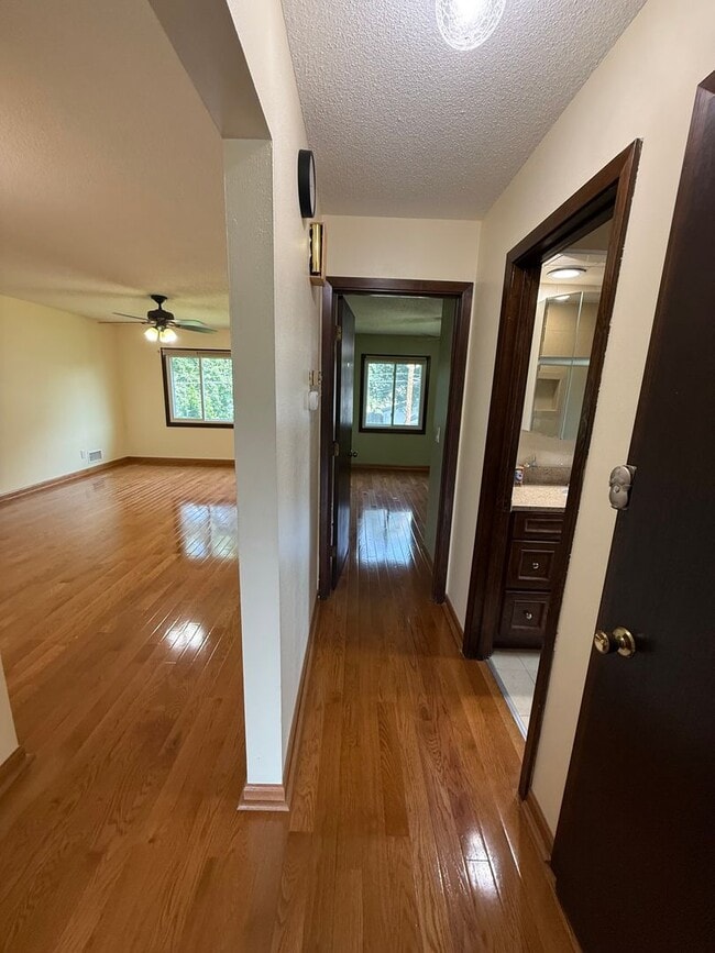Building Photo - Modern 4 bed 2 Bath Split Level Single Fam...