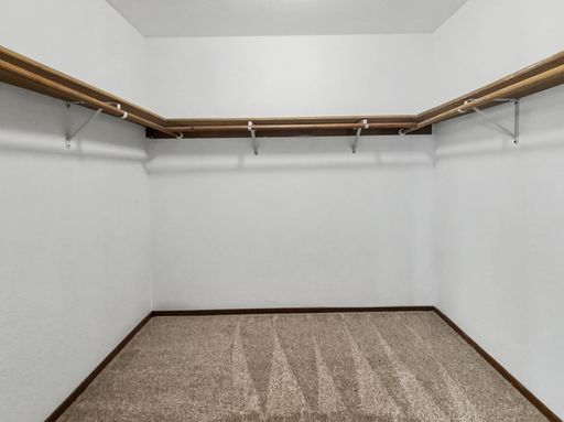 Building Photo - AVAILABLE FEBRUARY 10TH! Freshly Updated Kingsgate Home with Private Outdoor Space