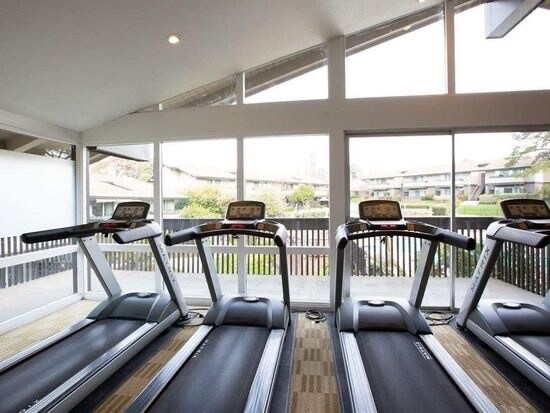 Gym - 127 Player Ct